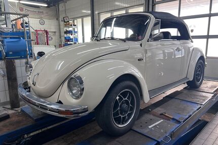 VW Käfer Gebrauchtwagen