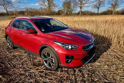 Kia XCeed Gebrauchtwagen