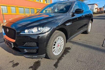 Jaguar F-Pace Gebrauchtwagen