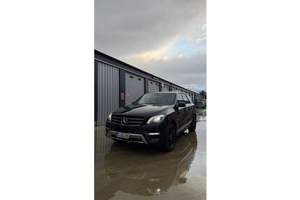Mercedes-Benz ML 350 Gebrauchtwagen