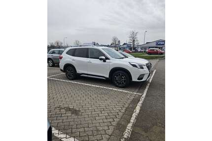 Subaru Forester Gebrauchtwagen