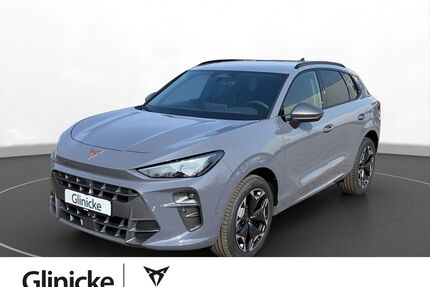 Cupra Terramar Gebrauchtwagen