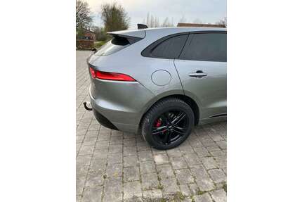 Jaguar F-Pace Gebrauchtwagen