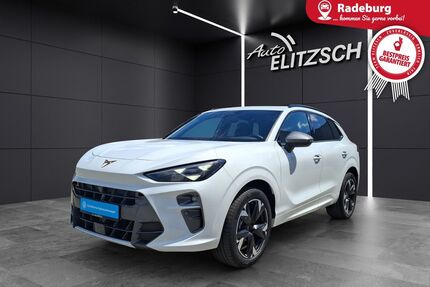 Cupra Terramar Gebrauchtwagen