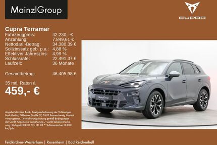 Cupra Terramar Gebrauchtwagen