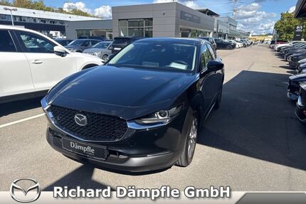 Mazda CX-30 Gebrauchtwagen