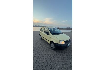 Fiat Panda Gebrauchtwagen