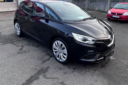 Renault Scenic Gebrauchtwagen