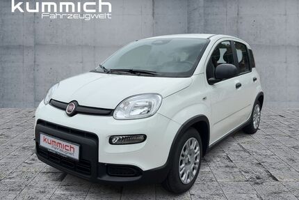 Fiat Panda Gebrauchtwagen