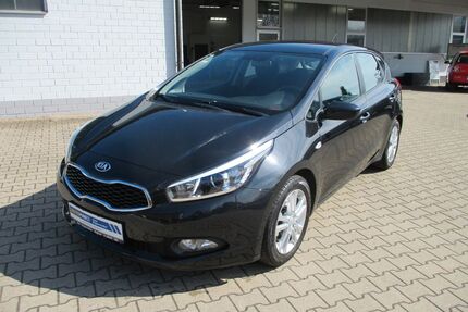 Kia ceed / Ceed Gebrauchtwagen