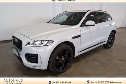Jaguar F-Pace Gebrauchtwagen