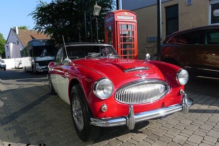 Austin Healey Andere Gebrauchtwagen