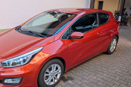 Kia pro ceed / ProCeed Gebrauchtwagen