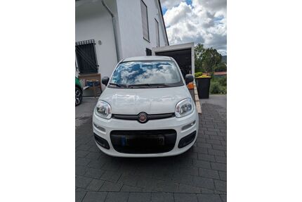 Fiat Panda Gebrauchtwagen