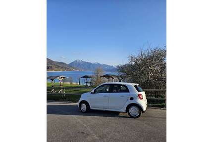 Smart forFour Gebrauchtwagen