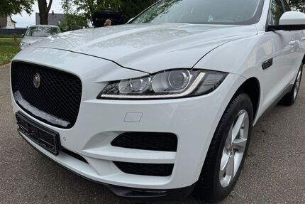 Jaguar F-Pace Gebrauchtwagen