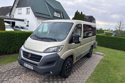 Fiat Ducato Gebrauchtwagen