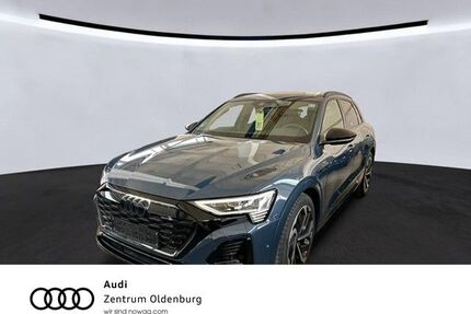 Audi Q8 e-tron Gebrauchtwagen