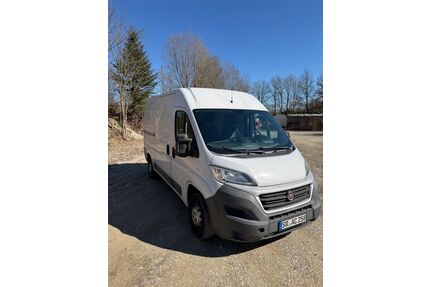 Fiat Ducato Gebrauchtwagen