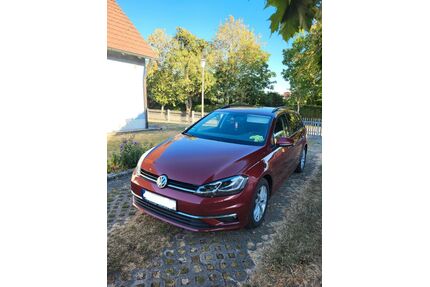 VW Golf Gebrauchtwagen