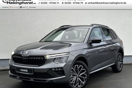Skoda Kamiq Gebrauchtwagen