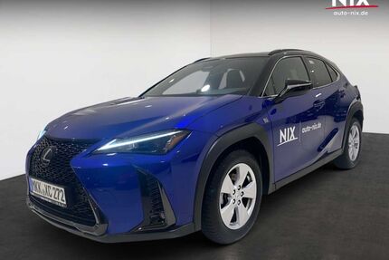 Lexus UX Gebrauchtwagen