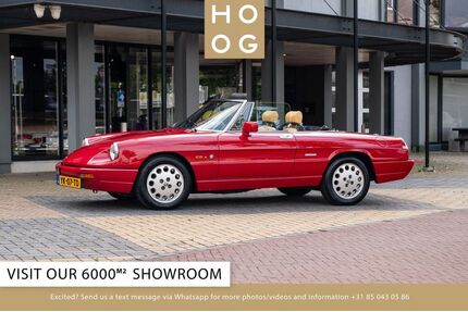 Alfa Romeo Spider Gebrauchtwagen