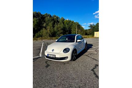 VW Beetle Gebrauchtwagen