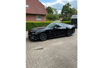 Ford Mustang Gebrauchtwagen