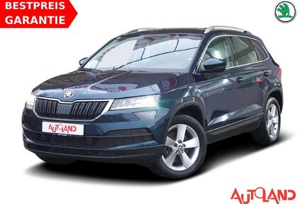 Skoda Karoq Gebrauchtwagen