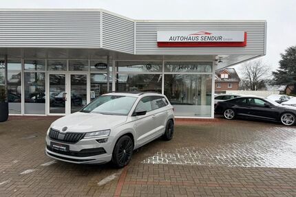 Skoda Karoq Gebrauchtwagen
