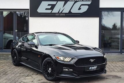 Ford Mustang Gebrauchtwagen