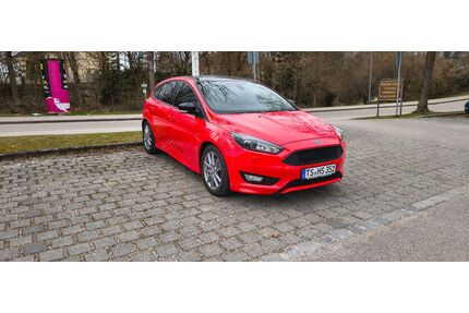 Ford Focus Gebrauchtwagen