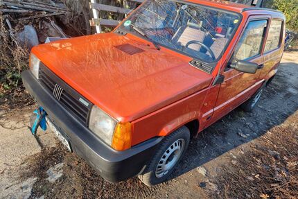 Fiat Panda Gebrauchtwagen