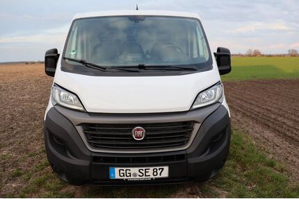 Fiat Ducato Gebrauchtwagen
