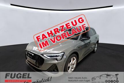 Audi e-tron Gebrauchtwagen