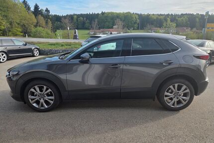 Mazda CX-30 Gebrauchtwagen