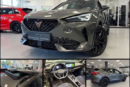 Cupra Formentor Gebrauchtwagen