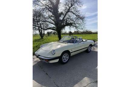 Alfa Romeo Spider Gebrauchtwagen