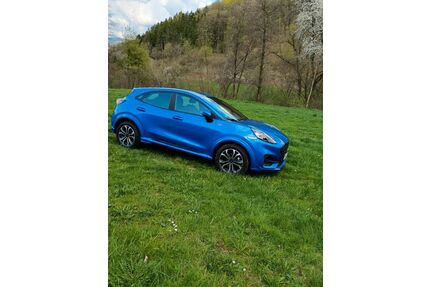 Ford Puma Gebrauchtwagen