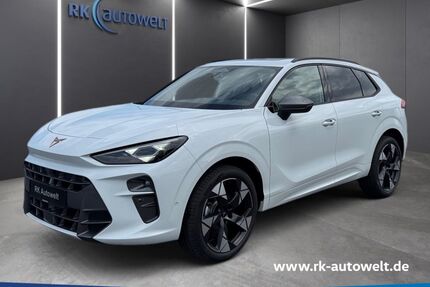 Cupra Terramar Gebrauchtwagen