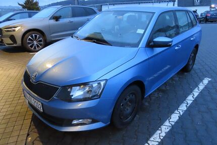 Skoda Fabia Gebrauchtwagen