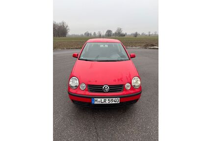 VW Polo Gebrauchtwagen