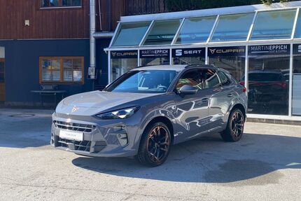 Cupra Terramar Gebrauchtwagen