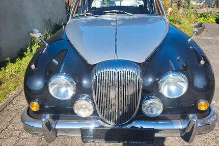 Jaguar Daimler Gebrauchtwagen