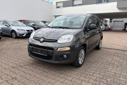 Fiat Panda Gebrauchtwagen