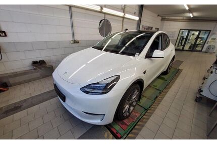 Tesla Model Y Gebrauchtwagen