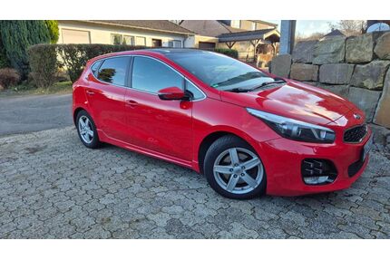 Kia ceed / Ceed Gebrauchtwagen