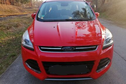 Ford Kuga Gebrauchtwagen