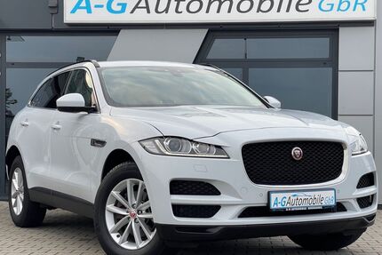 Jaguar F-Pace Gebrauchtwagen